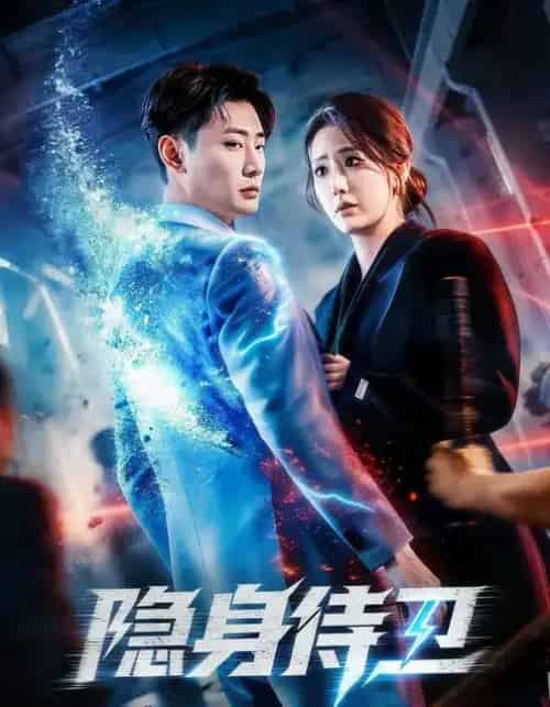 隐身侍卫（80集全）宣嘉橙＆金鑫欣-紫橙网创项目网