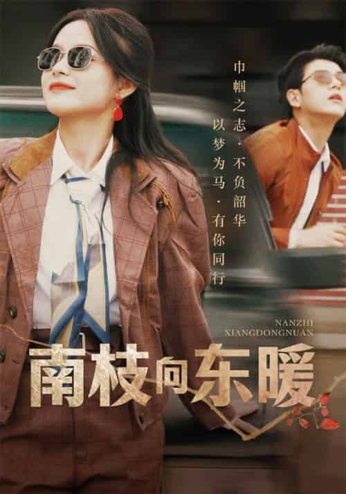 南枝向东暖（78集全）陆向东＆宋南枝 - 紫橙阁短剧
