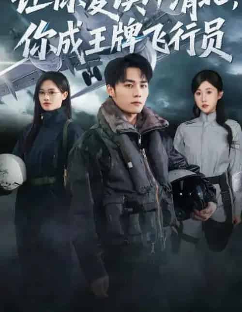让你复读冲清北,你成王牌飞行员(78集全)刘思敏&程勇炜-紫橙网创项目网
