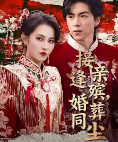 接亲逢殡，婚葬同尘（64集全）杨晴＆牛一凡-紫橙网创项目网