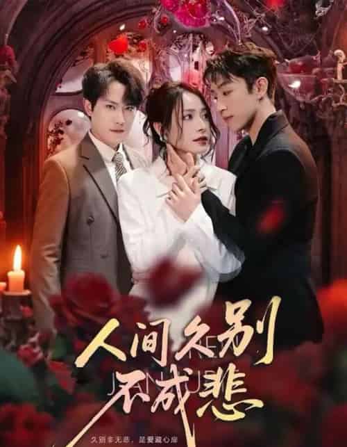 人间久别不成悲（80集全）李曾＆张耀玮-紫橙网创项目网