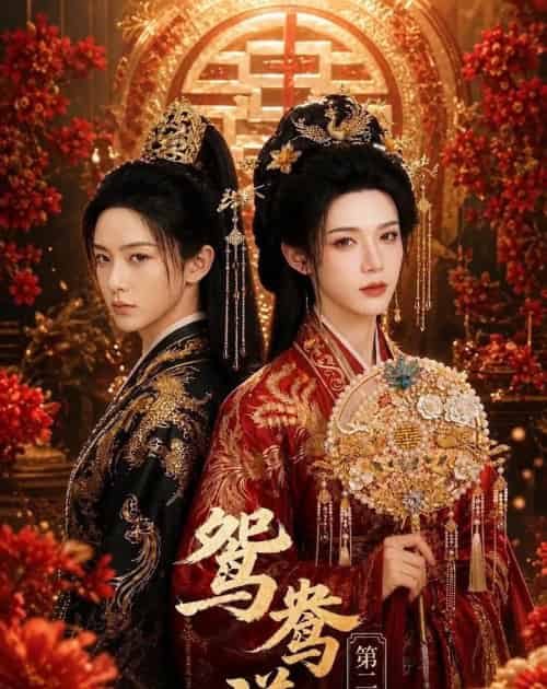 鸳鸯谱第二季(64集全)AI-紫橙网创项目网