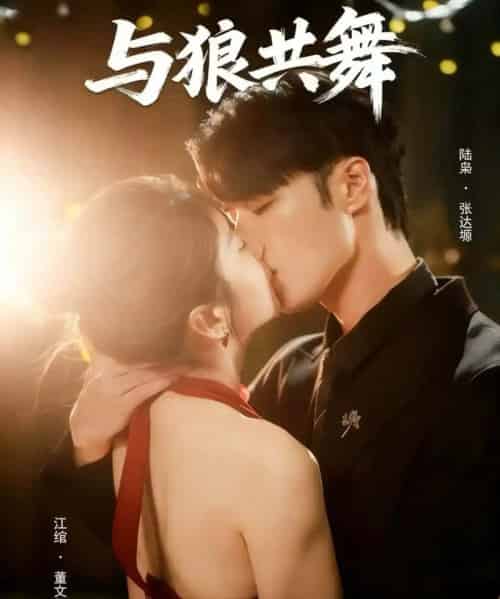 与狼共舞(60集全)张达塬&董文轩-紫橙网创项目网