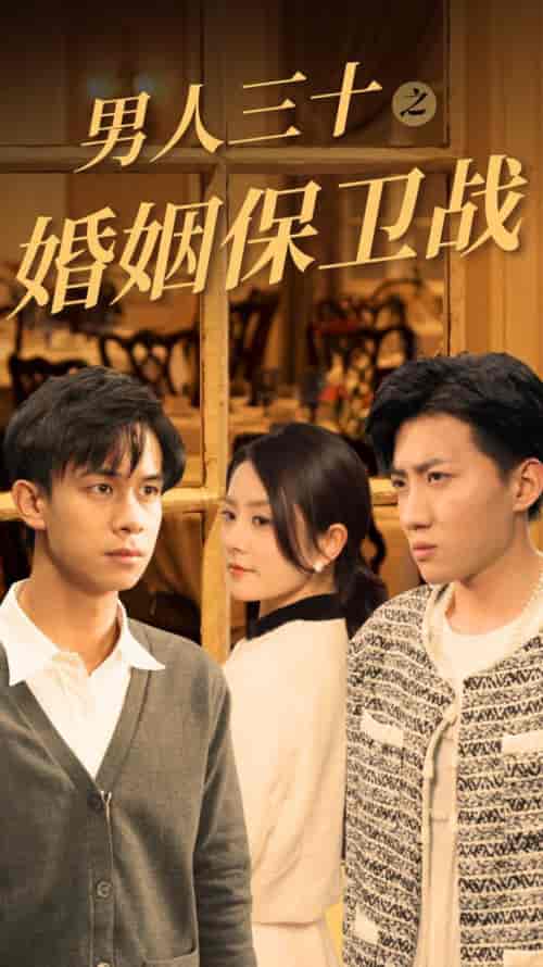 男人三十之婚姻保卫战 男人三十之婚姻保卫战
