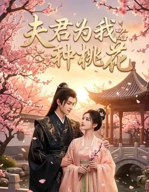 夫君为我种桃花（16集全）AI-紫橙网创项目网