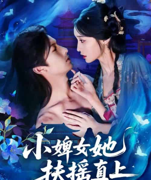 小婢女她扶摇直上（61集全）刘俊达＆甜九洛-紫橙网创项目网