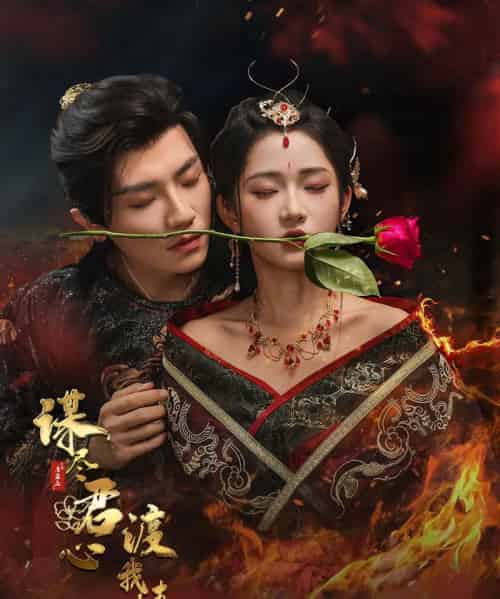 谋尽君心渡我情（50集）安子杨＆汪海敏-紫橙网创项目网