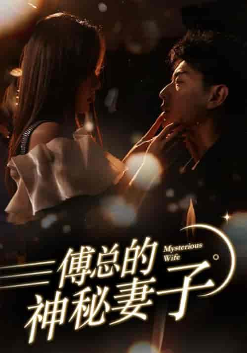傅总的神秘妻子＆在逃娇妻美又飒（100集） - 紫橙阁短剧
