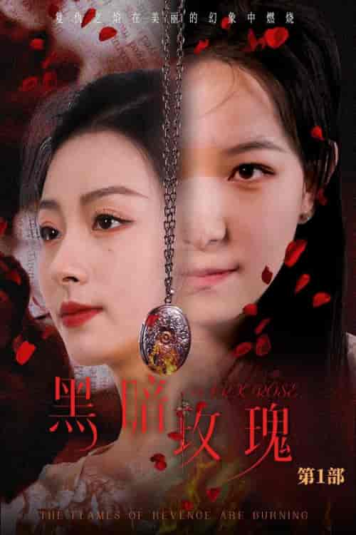 黑暗玫瑰（84集全）王艺阳 - 紫橙阁短剧