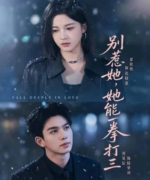 别惹她，她能一拳打三（77集全）刘宴辰＆翟欣然-紫橙网创项目网