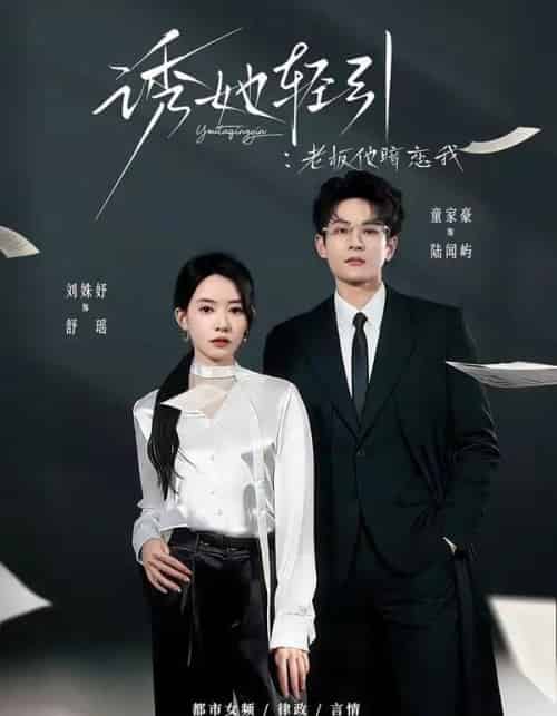 诱她轻引：老板他暗恋我（95集全）童家豪＆刘姝妤-紫橙网创项目网