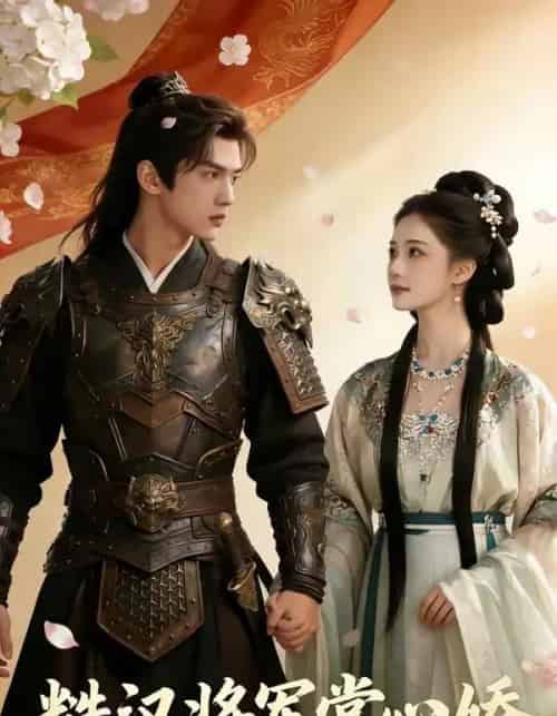 糙汉将军掌心娇（64集全）AI-紫橙网创项目网