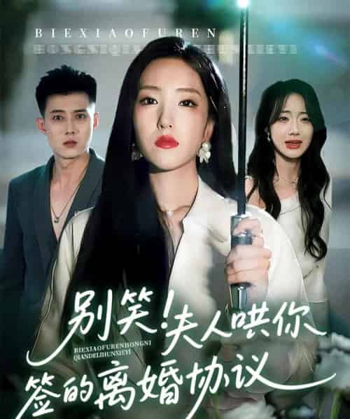 别笑夫人哄你签的离婚协议 别笑夫人哄你签的离婚协议