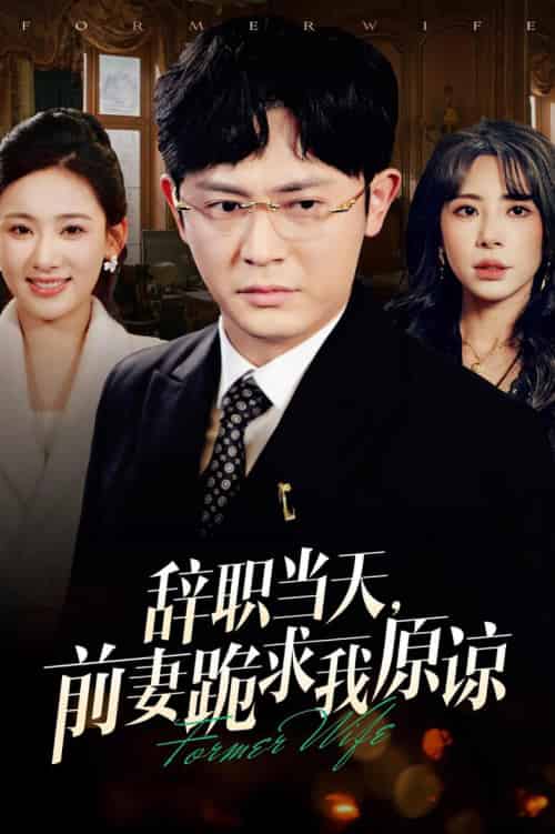 辞职当天前妻哭着求我原谅（23集全）-紫橙网创项目网