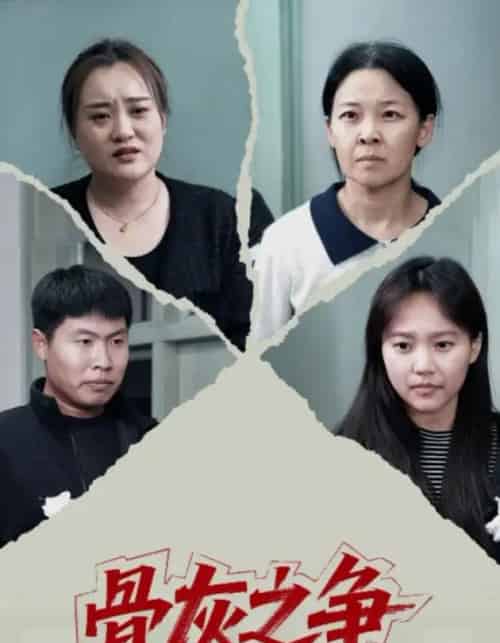 骨灰之争（30集全）于梳-紫橙网创项目网