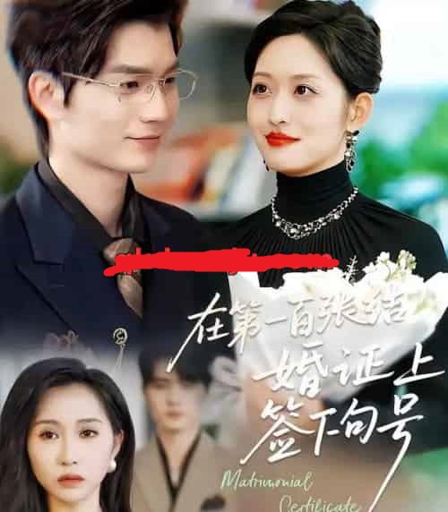 在第一百张结婚证上签下句号（50集全）黄斯琪＆张嘉松-紫橙网创项目网