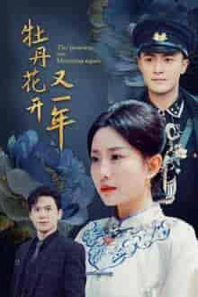 牡丹花开又一年（60集）-紫橙网创项目网