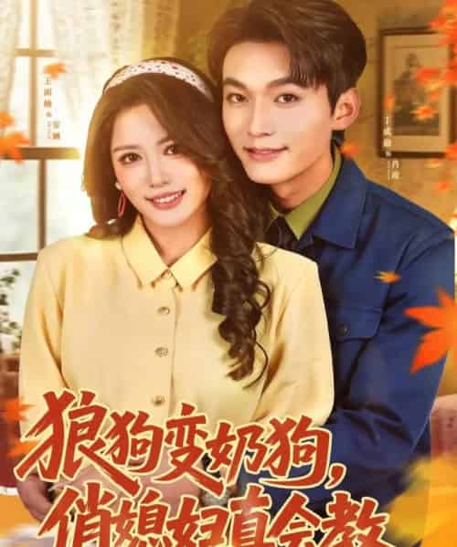 狼狗变奶狗，俏媳妇真会教（70集全）丁成勋＆王雨楠-紫橙网创项目网