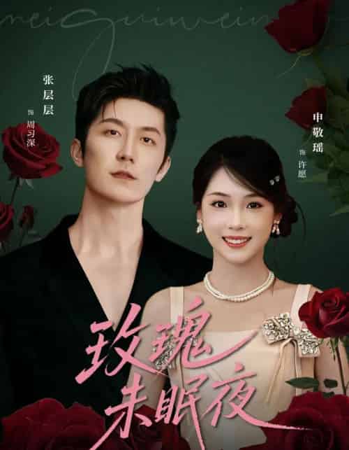玫瑰未眠夜（71集全）张层层＆申敬瑶-紫橙网创项目网