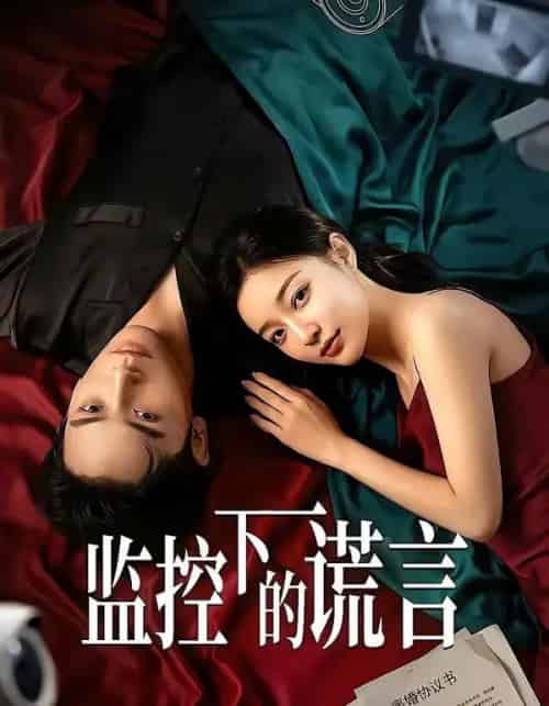 监控下的谎言(50集全)AI-紫橙网创项目网