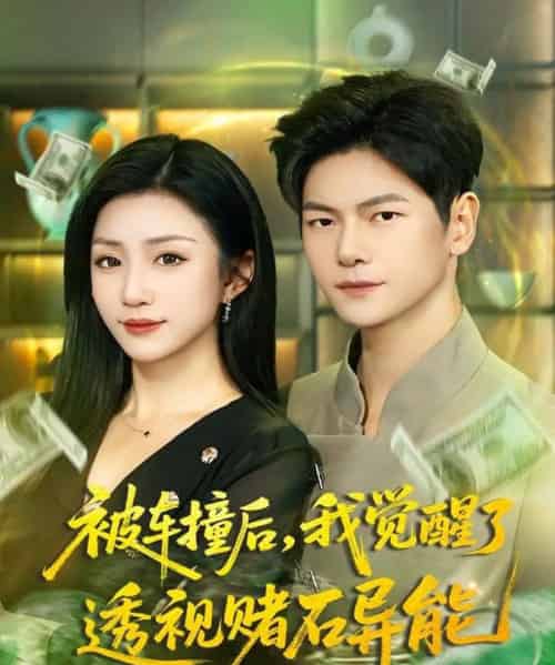 被车撞后,我觉醒了透视赌石异能(81集全)刘瀚阳&孙同钰-紫橙网创项目网