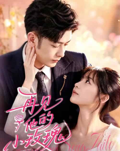 再见他的小玫瑰(98集全)向昊&杨佳蕾-紫橙网创项目网