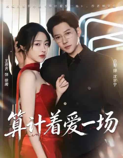 算计着爱一场（81集全）白羽＆王思齐-紫橙网创项目网