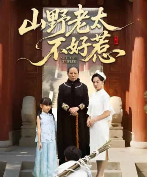 山野老太不好惹＆奶奶一脚震全城（64集全）徐绍航-紫橙网创项目网