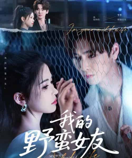 我的野蛮女友（80集）张一航＆邹漪琳 - 紫橙阁短剧