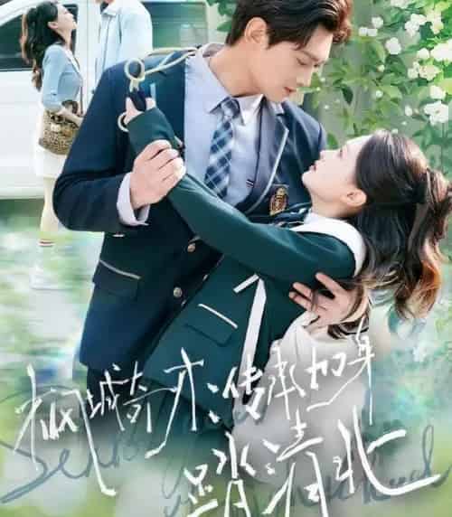 枫城奇才：传承加身踏清北（80集全）俞玟霞＆杨紫皓 - 紫橙阁短剧