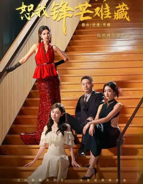 人到中年，恕我锋芒难藏（89集全）刘安歌＆高子怡-紫橙网创项目网