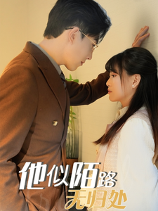 他似陌路无归处（30集全）赵宏伟＆胡雪艺 - 紫橙阁短剧