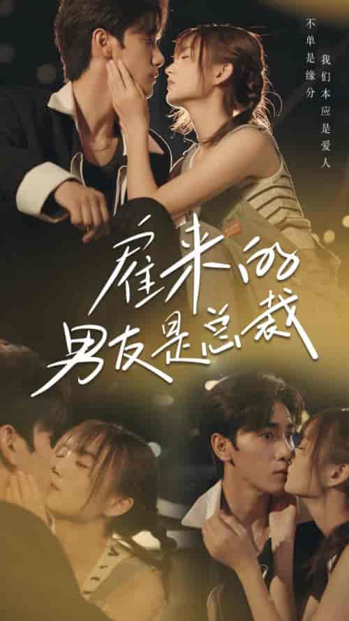 雇来的男友是总裁（50集全） - 紫橙阁短剧