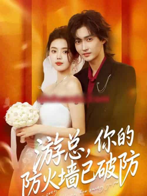 游总，你的防火墙已破防（76集全）张梦洋＆周爱淋-紫橙网创项目网