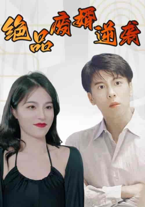 绝品废婿逆袭（100集全）卓一航＆柳如烟 - 紫橙阁短剧