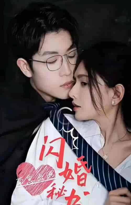 闪婚秘书带崽出逃（100集）-紫橙网创项目网