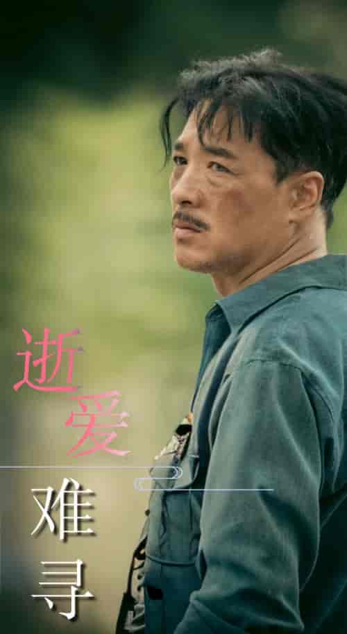 逝爱难寻（76集全） - 紫橙阁短剧