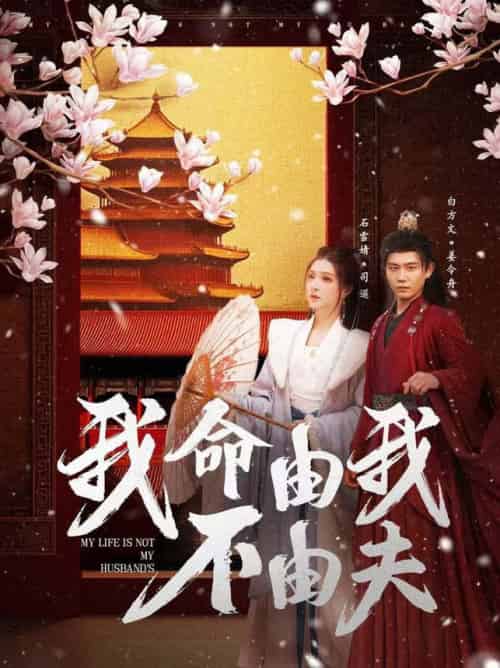 我命由我不由夫（75集全）白方文＆石雪婧 - 紫橙阁短剧