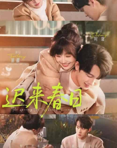 迟来春日(84集全)时康&田甜一-紫橙网创项目网