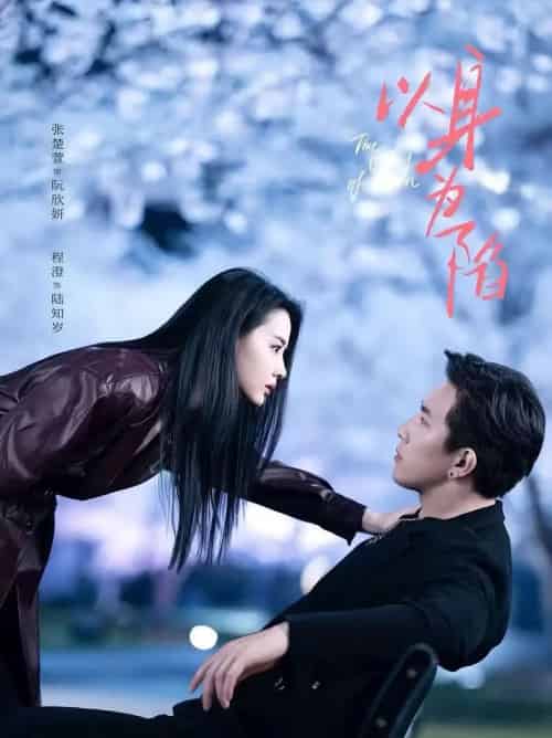 以身为陷（80集全）程澄＆张楚萱 - 紫橙阁短剧