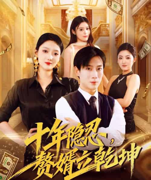 十年隐忍赘婿立乾坤 十年隐忍赘婿立乾坤