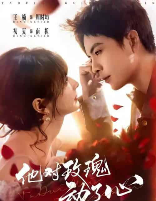 他对玫瑰动了心(68集全)王楠&初夏-紫橙网创项目网