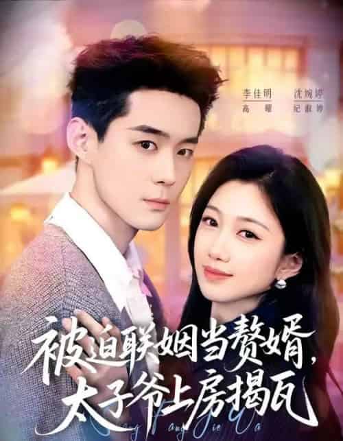 被迫联姻当赘婿,太子爷上房揭瓦(80集全)沈婉婷&李佳明-紫橙网创项目网