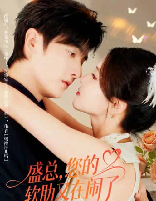 盛总，您的软肋又在闹了（80集全）林潇＆张许焓 - 紫橙阁短剧