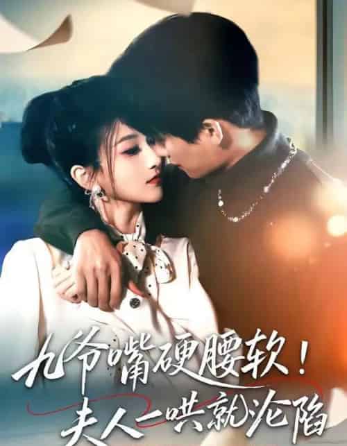 九爷嘴硬腰软!夫人一哄就沦陷(70集全)毛祁生&董瑷宁-紫橙网创项目网