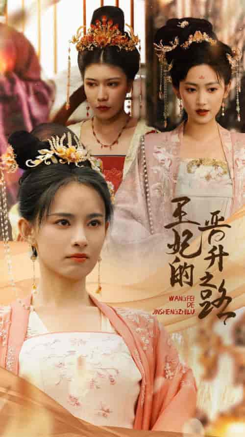 王妃的晋升之路 王妃的晋升之路