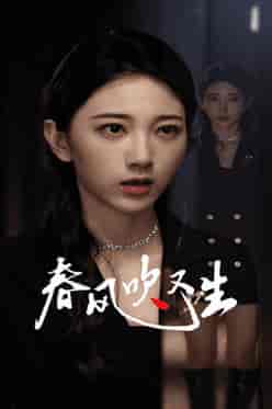 新版：春风吹又生（50集全） - 紫橙阁短剧
