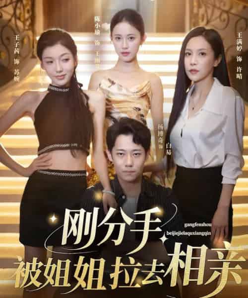刚分手被姐姐拉去相亲＆分手被姐姐拉去相亲（73集）王子茜＆陈小瑜＆王满婷 - 紫橙阁短剧