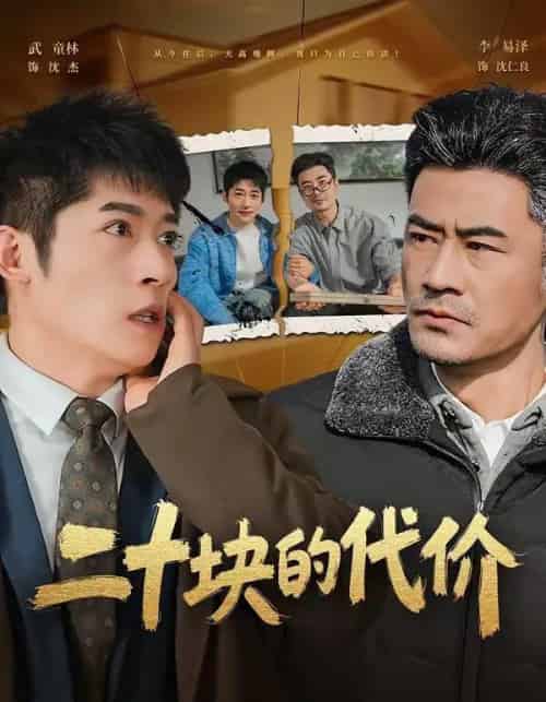 二十块的代价（64集全）李易泽＆陈旭-紫橙网创项目网