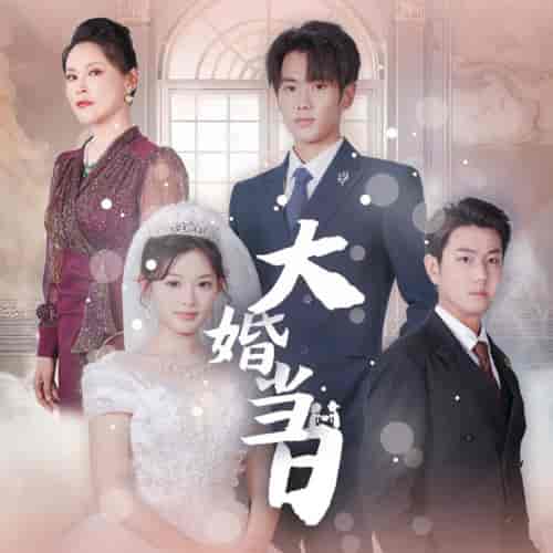 大婚当日（50集） - 紫橙阁短剧